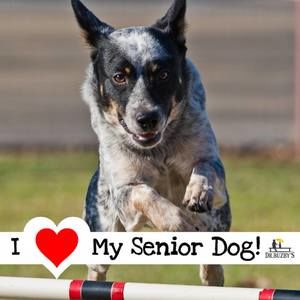 Meet your Posher, Ann